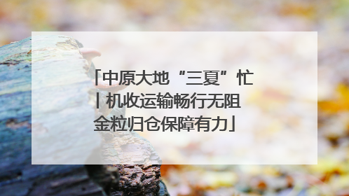 中原大地“三夏”忙丨机收运输畅行无阻 金粒归仓保障有力