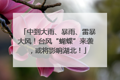 中到大雨、暴雨、雷暴大风！台风“蝴蝶”来袭，或将影响湖北！