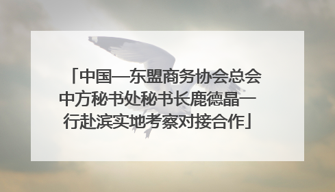 中国—东盟商务协会总会中方秘书处秘书长鹿德晶一行赴滨实地考察对接合作