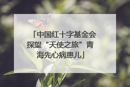 中国红十字基金会探望“天使之旅”青海先心病患儿
