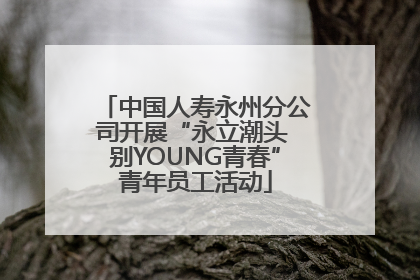 中国人寿永州分公司开展“永立潮头 别YOUNG青春”青年员工活动