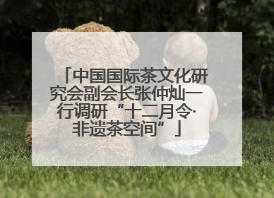 中国国际茶文化研究会副会长张仲灿一行调研“十二月令·非遗茶空间”