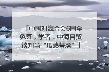 中国对海合会6国全免签，学者：中海自贸谈判当“瓜熟蒂落”