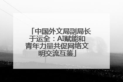 中国外文局副局长于运全：AI赋能和青年力量共促网络文明交流互鉴