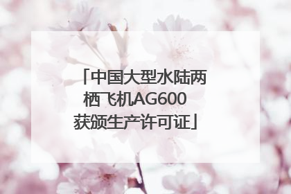 中国大型水陆两栖飞机AG600获颁生产许可证