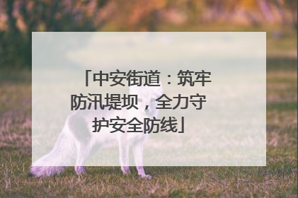 中安街道：筑牢防汛堤坝，全力守护安全防线
