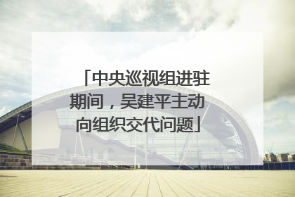中央巡视组进驻期间，吴建平主动向组织交代问题