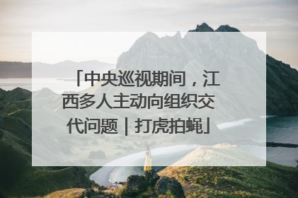 中央巡视期间，江西多人主动向组织交代问题｜打虎拍蝇