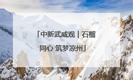 中新武威观｜石榴同心 筑梦凉州
