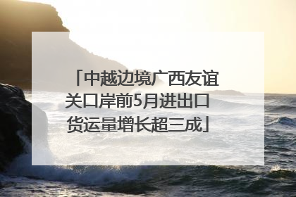 中越边境广西友谊关口岸前5月进出口货运量增长超三成
