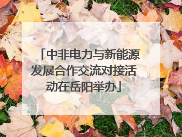 中非电力与新能源发展合作交流对接活动在岳阳举办