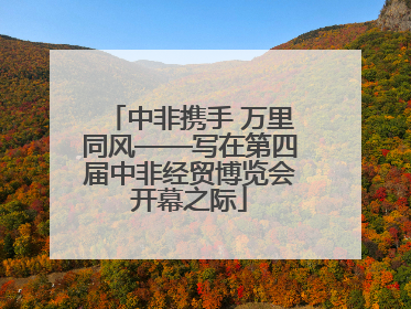 中非携手 万里同风——写在第四届中非经贸博览会开幕之际