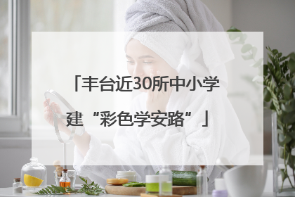 丰台近30所中小学建“彩色学安路”