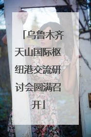 乌鲁木齐天山国际枢纽港交流研讨会圆满召开