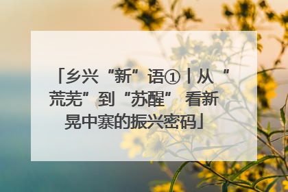 乡兴“新”语①丨从“荒芜”到“苏醒” 看新晃中寨的振兴密码