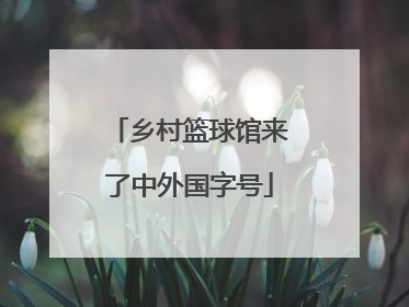 乡村篮球馆来了中外国字号