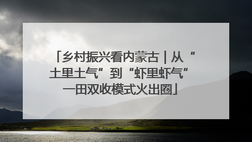乡村振兴看内蒙古｜从“土里土气”到“虾里虾气” 一田双收模式火出圈
