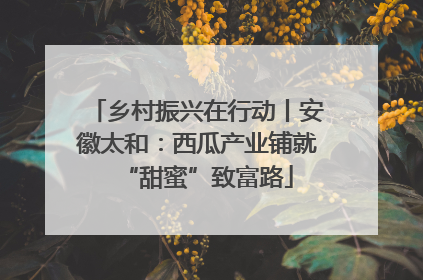 乡村振兴在行动丨安徽太和：西瓜产业铺就“甜蜜”致富路