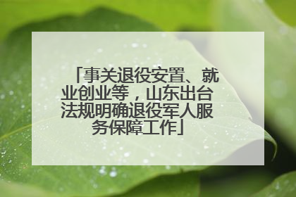 事关退役安置、就业创业等，山东出台法规明确退役军人服务保障工作