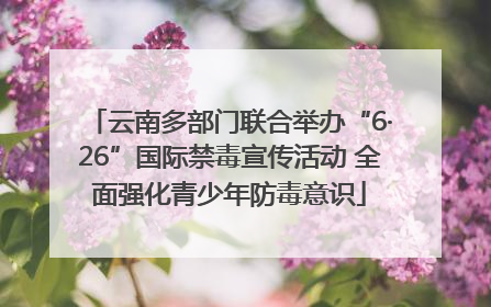 云南多部门联合举办“6·26”国际禁毒宣传活动 全面强化青少年防毒意识