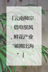 云南师宗：借电驭风，鲜花产业“破圈出海”