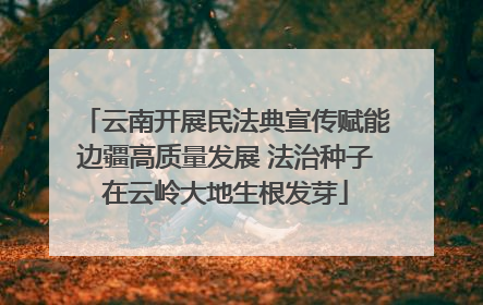 云南开展民法典宣传赋能边疆高质量发展 法治种子在云岭大地生根发芽