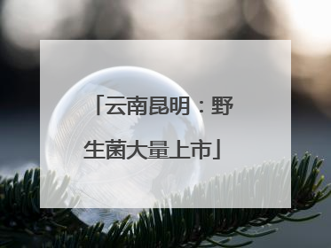 云南昆明：野生菌大量上市