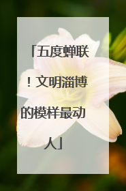 五度蝉联！文明淄博的模样最动人