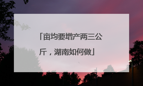 亩均要增产两三公斤，湖南如何做