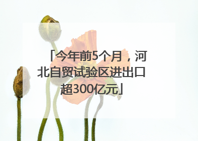 今年前5个月，河北自贸试验区进出口超300亿元