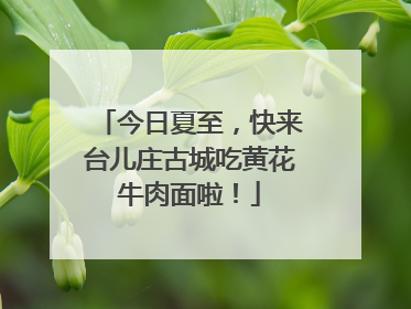 今日夏至，快来台儿庄古城吃黄花牛肉面啦！