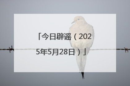 今日辟谣（2025年5月28日）