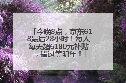今晚8点，京东618最后28小时！每人每天超6180元补贴，错过等明年！