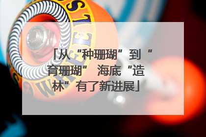 从“种珊瑚”到“育珊瑚” 海底“造林”有了新进展