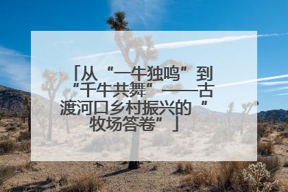 从“一牛独鸣”到“千牛共舞”——古渡河口乡村振兴的“牧场答卷”