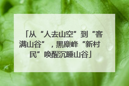 从“人去山空”到“客满山谷”，黑麋峰“新村民”唤醒沉睡山谷