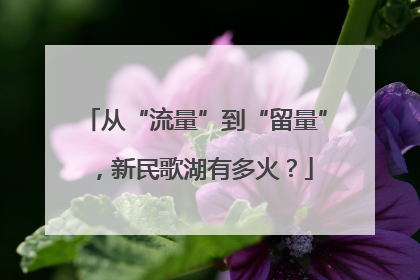 从“流量”到“留量”，新民歌湖有多火？