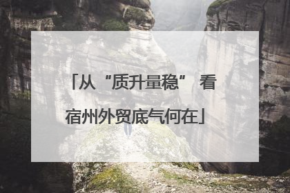 从“质升量稳” 看宿州外贸底气何在