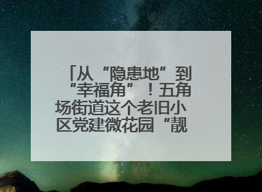 从“隐患地”到“幸福角”！五角场街道这个老旧小区党建微花园“靓”出幸福新图景