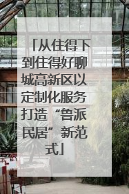 从住得下到住得好聊城高新区以定制化服务打造“鲁派民居”新范式