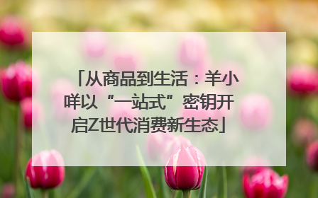 从商品到生活：羊小咩以“一站式”密钥开启Z世代消费新生态