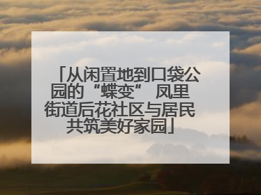 从闲置地到口袋公园的“蝶变” 凤里街道后花社区与居民共筑美好家园