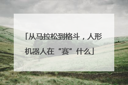 从马拉松到格斗，人形机器人在“赛”什么