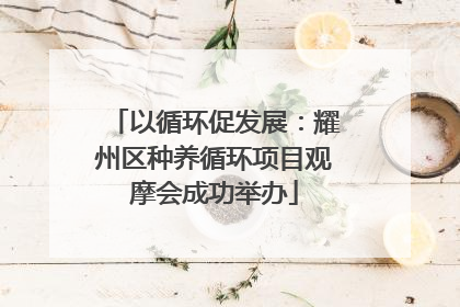 以循环促发展：耀州区种养循环项目观摩会成功举办