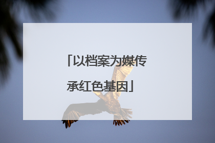 以档案为媒传承红色基因