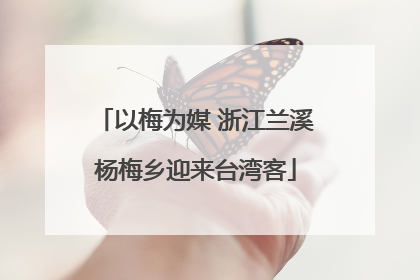 以梅为媒 浙江兰溪杨梅乡迎来台湾客