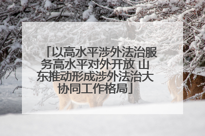 以高水平涉外法治服务高水平对外开放 山东推动形成涉外法治大协同工作格局