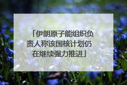 伊朗原子能组织负责人称该国核计划仍在继续强力推进