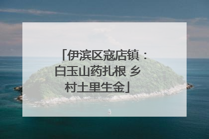 伊滨区寇店镇：白玉山药扎根 乡村土里生金