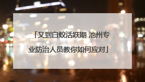 又到白蚁活跃期 池州专业防治人员教你如何应对